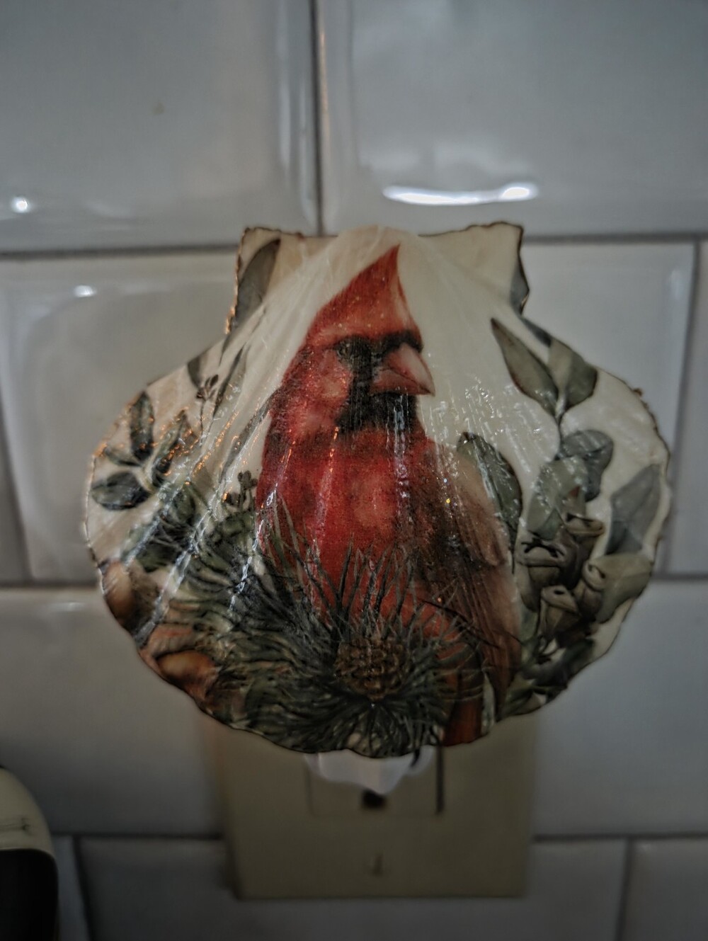 Handcrafted Cardinal Scallop Shell - Picture 2 of 4
